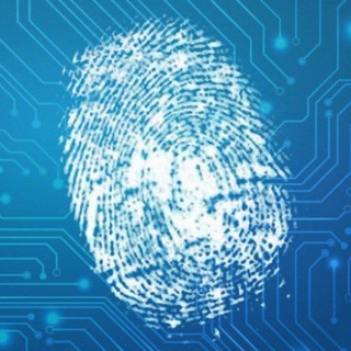 Telegram profile photo for Phoaching: навыкообразование, проекты, работа, бизнес