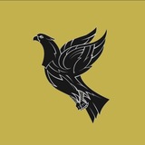 Telegram profile photo for مدلهنك ديجيتال عسكرى