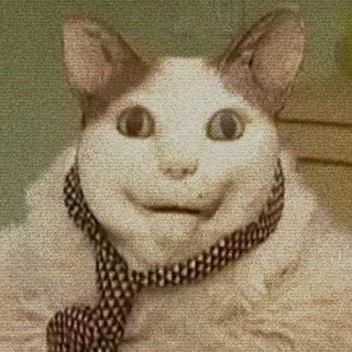 Telegram profile photo for 00:59