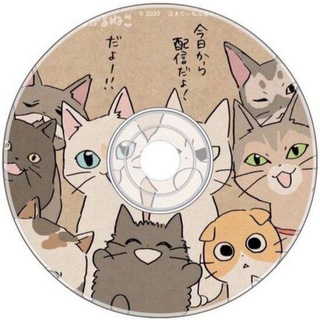 Telegram profile photo for Диск с котятами 🐾