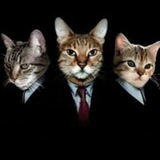Telegram profile photo for кто ты из мэджик фемели