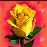 Telegram profile photo for Шерият гулшани Ходжаева Гулнора🌹🌺🌸🌺🌸🌼🌸🌼🌺🌹🌹🌹🌷🌷