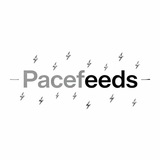 Telegram profile photo for PaceFeeds