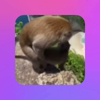 Telegram profile photo for Прайс