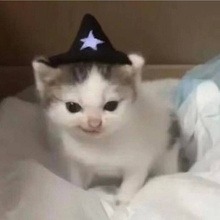 Telegram profile photo for 雪茄 飞机号 888租售 TRX能量兑换
