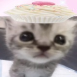 Telegram profile photo for nyanko :3