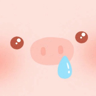 Telegram profile photo for 小猪工作的日常