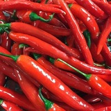 Telegram profile photo for للمشطشطين فقط☝🏻🌶
