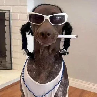 Telegram profile photo for SNOOPE DOGGE | TON