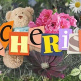 Telegram profile photo for ⁝ 𝐁echerist