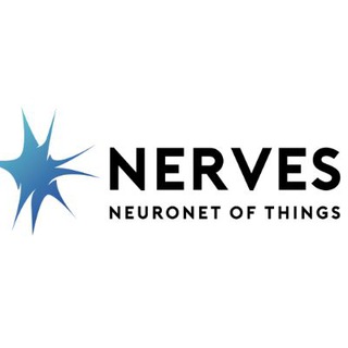 Telegram group profile photo for Nerves Official - EN