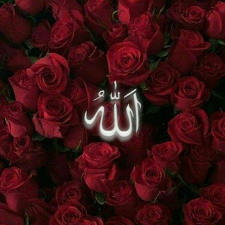 Telegram profile photo for راه قرآن