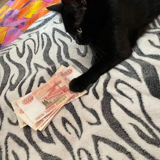 Telegram profile photo for Инвестиции С Умом l Investor Alexander 💸