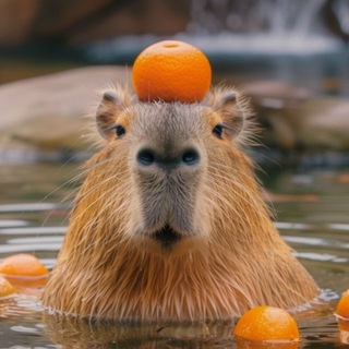 Telegram profile photo for AURIKA | лайф блог