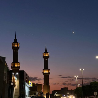 Telegram profile photo for قناة د. عمر بن محمد الحبيب