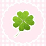 Telegram profile photo for (᪤ ٠ Keychin! Adorable ). Unique knickknacks,trinket’s property ♫ ٠ ࣪ (0/8) 🍥🍏 ࣪