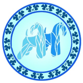 Telegram profile photo for Керри Блю Терьеры России