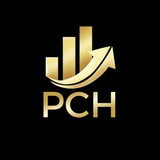 Telegram profile photo for Plutus Capital Holdings Announcements