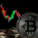 Telegram profile photo for Free Binance Trading Bot - Crypto Corsair. All signals for cryptocurrencies