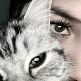 Telegram profile photo for لِعيوني