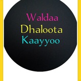 Telegram profile photo for Waldaa Dhaloota Kaayyoo