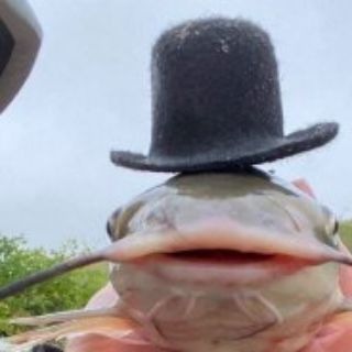 Telegram profile photo for Сом в сомбреро