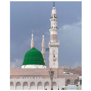 Telegram profile photo for نــَــسيــم القرآن