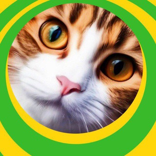 Telegram profile photo for Забавные проказники 🟢 юмор 🟢 коты 🟢 собаки 🟢 животные 🟢
