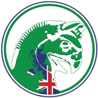 Telegram profile photo for صرافی بهمنی انگلستان