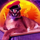 Telegram profile photo for Шлёпа телеграмирует