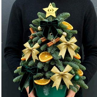 Telegram profile photo for Mini handmade natural Christmas Tree 🎄