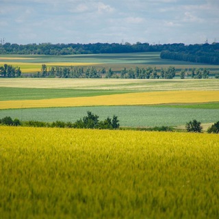 Telegram profile photo for Farm in Russia
