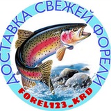 Telegram profile photo for Свежая радужная форель ❤️Краснодарский край