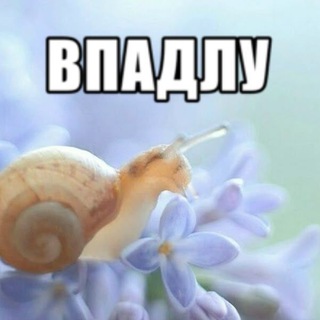 Telegram profile photo for мари ты балагур