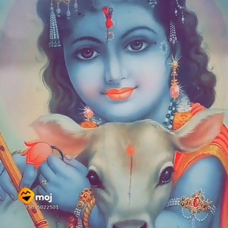Telegram profile photo for KV ki kalam