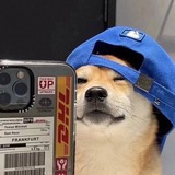 Telegram profile photo for πΆπππ_πΌππππ_ππΆπ΅π³π¨πΉβ₯οΈβΏβ₯οΈ