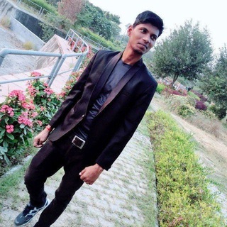 Telegram profile photo for CryptoAI Signal