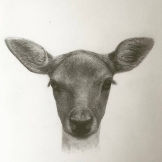 Telegram profile photo for sarochka_yoga
