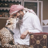 Telegram profile photo for ᷂ال،عَـكيَديّ .