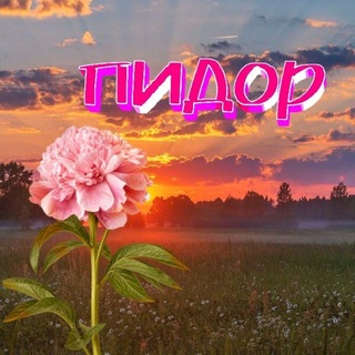Telegram profile photo for Клоптрахер