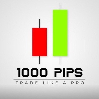 Telegram profile photo for 1000pips builder (Free signals)
