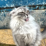 Telegram profile photo for miyaa