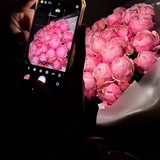 Telegram profile photo for Пупсен
