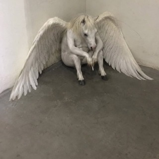 Telegram profile photo for Why can't I be sober?
