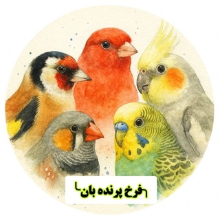 Telegram profile photo for ╮کانال پرنده بان╰