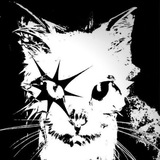 Telegram profile photo for Шизуки го хардер