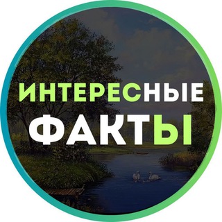 Telegram profile photo for Интересные факты