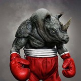 Telegram profile photo for Пупок носорога: мемы