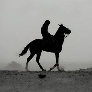 Telegram profile photo for المصطفى