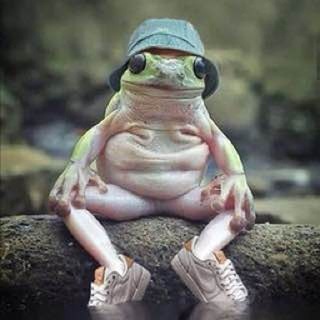 Telegram profile photo for Frog🐸Posting